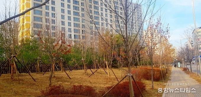 호매실지구일원 식재.