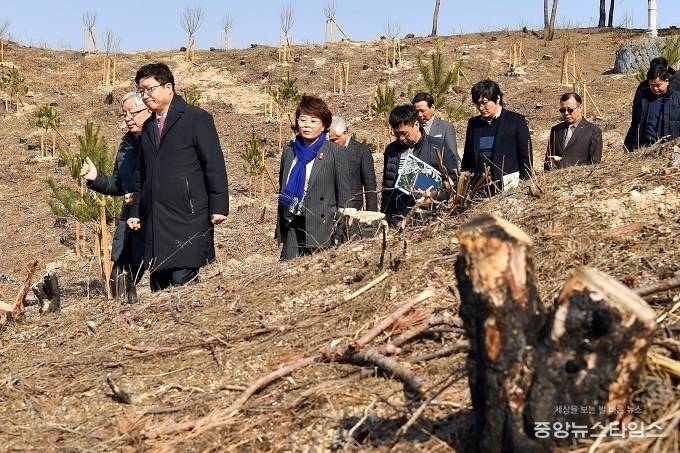 염태영 수원시장이 산불로 폐허가 된 속초지역 '행복의 숲' 대상지를 둘러보고 있다. (사진=수원시)