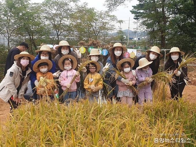 추수체험.(화성시 제공)