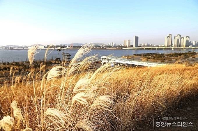 2022년 배곧생명공원 k-골든코스트. / 사진제공=시흥시