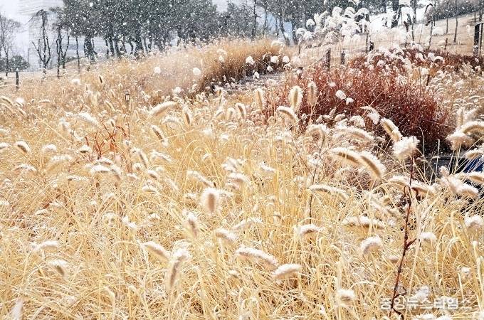 2022년 배곧생명공원 k-골든코스트. / 사진제공=시흥시