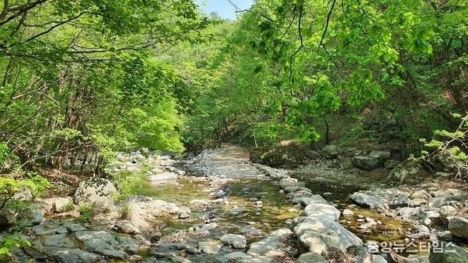 가평 연인산 명품계곡길.(경기도 제공)