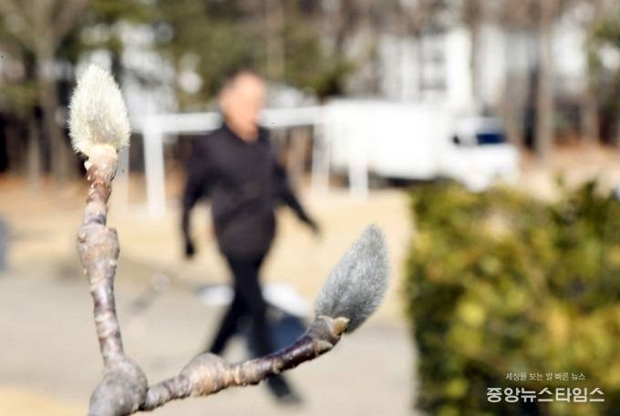 시흥시 소래산 놀자숲에 꿈틀대는 봄의 희망.(시흥시 제공)