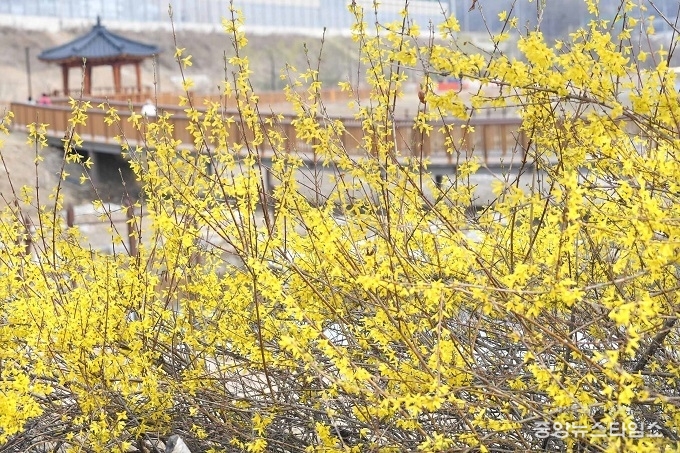 시흥 오난산·은계호수공원 봄소리.(시흥시 제공)