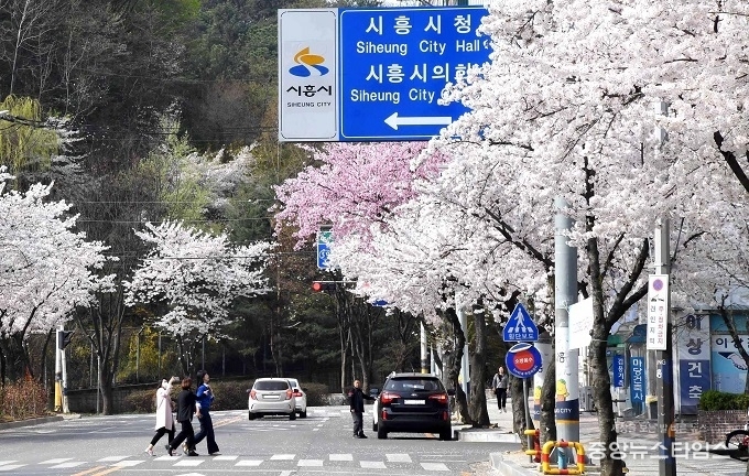 시청로