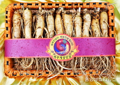 파주 개성인삼(사진=파주시)