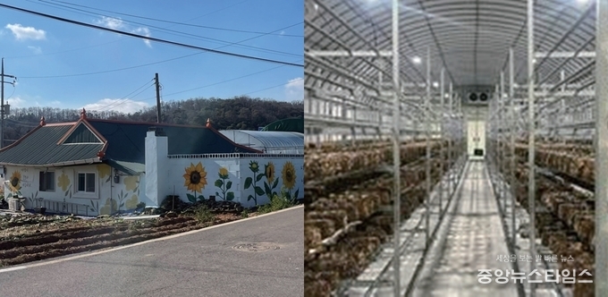 난정 해바라기 마을 벽화, 덕적면 북1리 표고버섯 재배시설(스마트팜)
