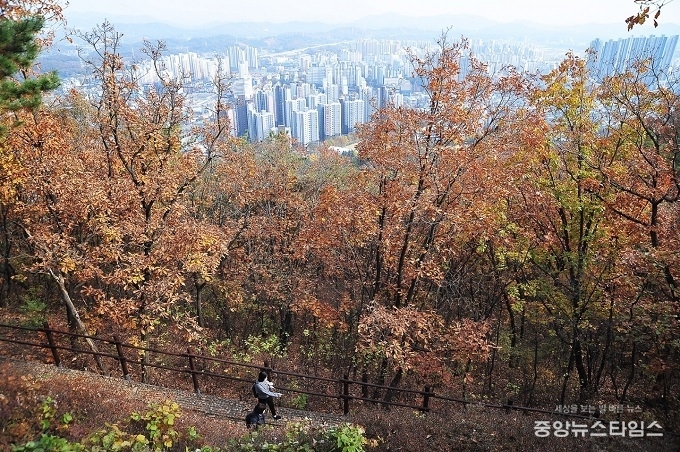 한 시민이 가을색으로 물든 소래산을 오르고 있다.(시흥시 제공)