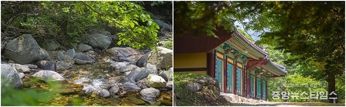 양평 사나사 (경기관광공사 제공)