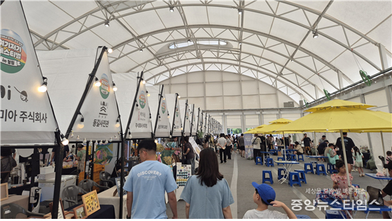 ‘디엠지(DMZ) 바이브 페스타’(강원관광재단 제공)