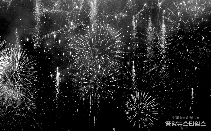 김민정, '모든 삶을 위한 라이브 비디오'2024, 4채널 4K 영상, 반복, 가변설치.