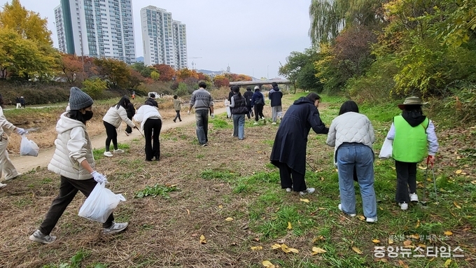 시민들이 8일 학의천 일대에서 진행된 '안양 청년 그린 플로깅' 행사에서 플로깅 활동을 하고 있다.(안양시 제공)