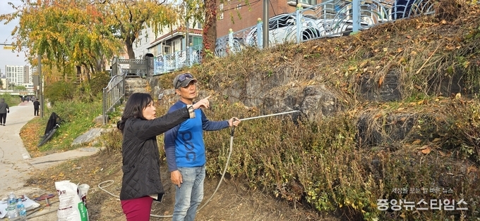 김은경 의원 세류천변 철쭉 1200주 식재.(사진=김은경 의원)