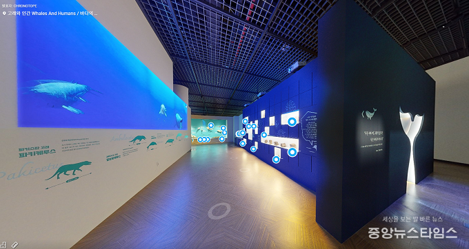 고래와 인간 VR 전시실.(사진=국립인천해양박물관)