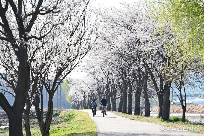 시흥 연꽃테마파크