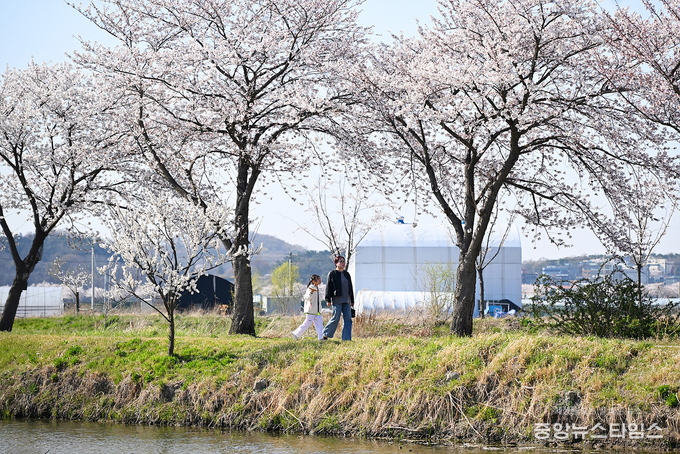 시흥 연꽃테마파크
