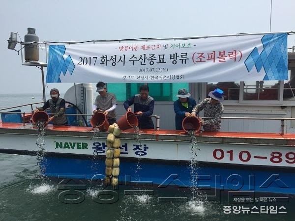 3-1. 조피볼락 방류사진 .JPG