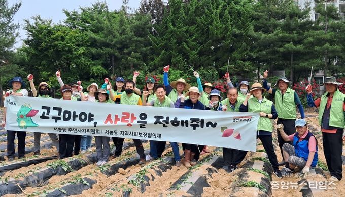 서농동 지역사회보장협의체 위원들 및 각단체 회원들이 참여한 가운데 22일 사랑의 고구마 심기 행사를 열었다.(용인시 제공)