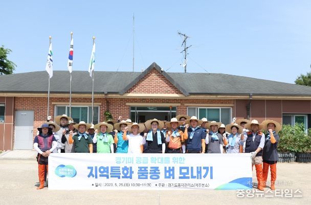 벼 모내기 시연