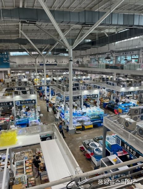 수원시 농수산물도매시장 수산동 전경.(수원시 제공)