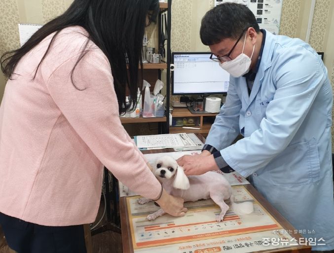 의정부시, 2023년 하반기 광견병 예방접종 지원