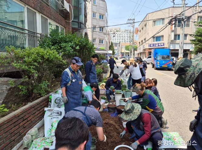권선1동에 화분정원 시범거리를 조성하고 있다