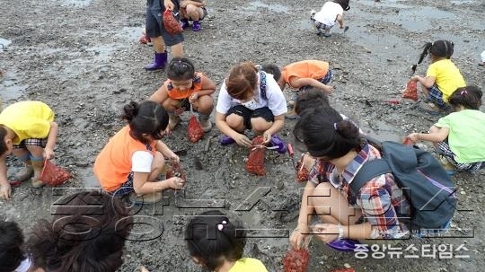 3. 조개캐기체험(백미리 어촌체험마을).JPG