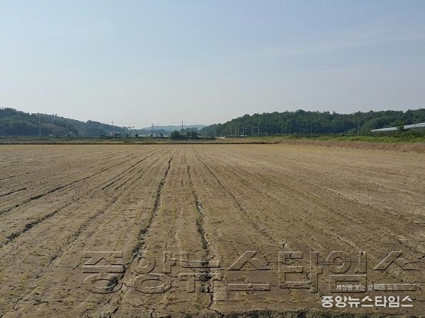 1-2. 서신면 사곳리 가뭄현장.JPG