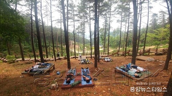 율곡수목원1-산림치유프로그램 사임당숲명상.jpg