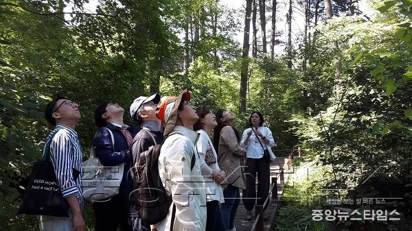 잣향기푸른숲 1 (2).jpg