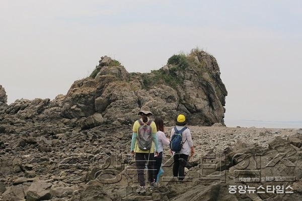 2-3. 국화도 매박섬 사자바위.jpg