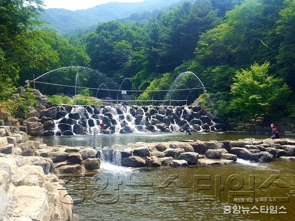 축령산 물놀이장1.jpg