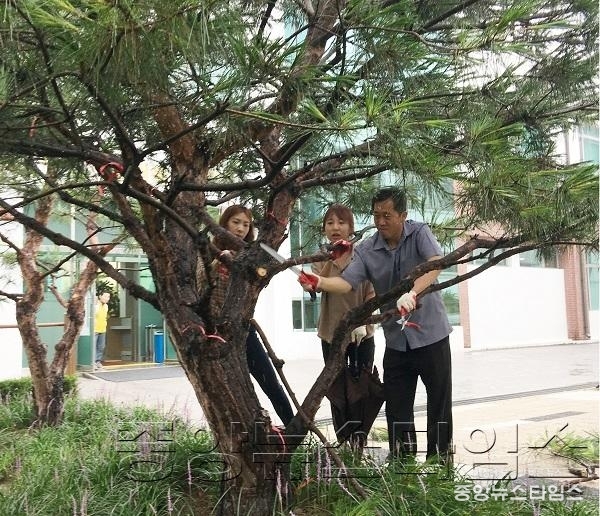 수원시, 공원녹지 담당 공직자 대상으로 _소나무 관리 및 전지작업 교육_.jpg