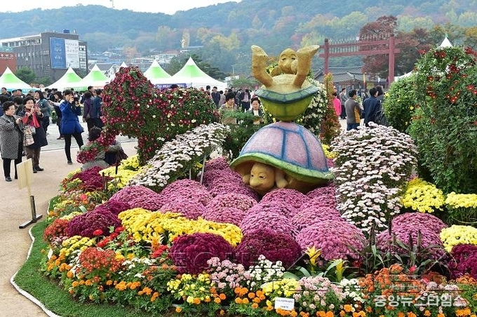 오상고절(傲霜孤節) 국화 매력에 _흠뻑_, _수원 국화전시회__3.jpg