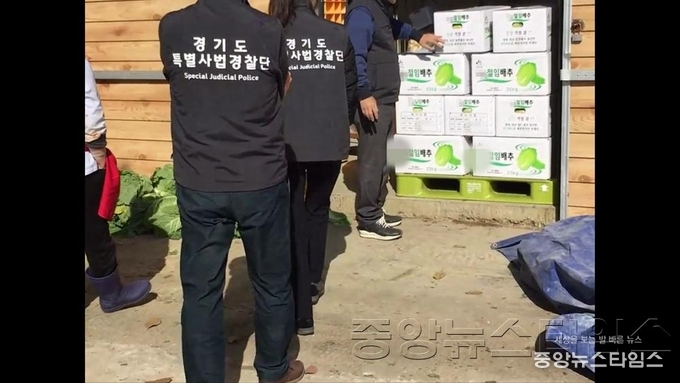 1.자료사진－유명산지 절임배추로 포장판매(A업체).jpg