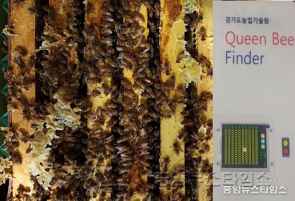 3.여왕벌위치추적장치.jpg