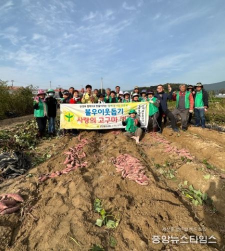 포천시 선단동 새마을지도자·부녀협의회, 사랑의 고구마 캐기 행사
