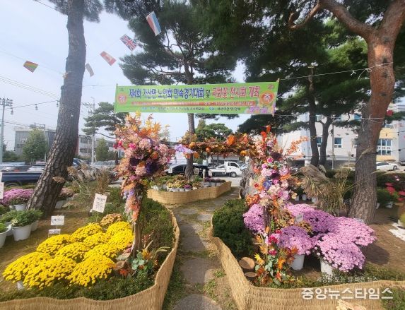 포천시 가산면 노인회, 제4회 민속경기대회 및 국화꽃 전시회 성황리 개최