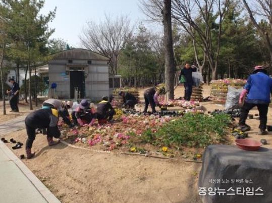 서구, 새봄맞이 가로정원 환경정비 실시