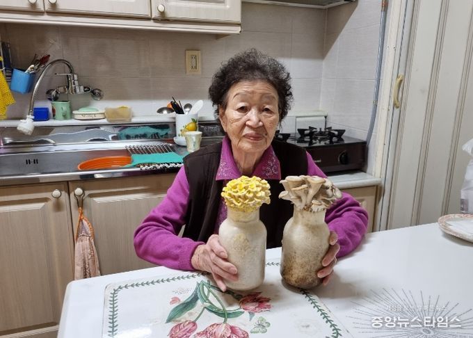 부평구노인복지관, 버섯 키우기로 어르신 정신건강 튼튼