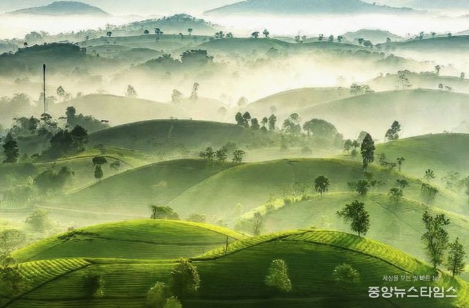 여주시 미술관 '아트뮤지엄 려' 2024 공모전시 '제27회 (사)한국사진작가협회 여주지부 정기회원전' 개최