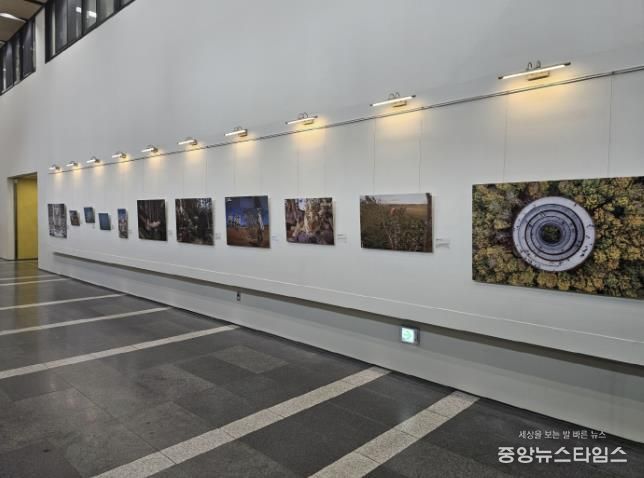 시흥시 배곧도서관, ‘내셔널 지오그래픽’과 협업 이벤트 진행