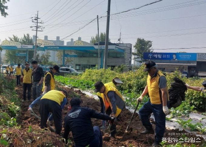 파주시 조리읍 실버경찰대, 고구마 기탁으로 이웃 사랑 나눔 실천