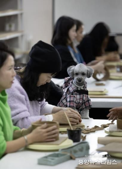 여주시, ‘반려동물 동반관광’ 시범운영 성료