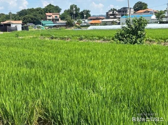 파주시, 2025년 친환경 농업직불금 추가 신청접수