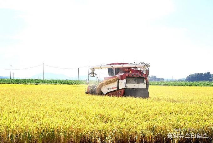 파주시, 국내 최초 남북 교배품종 평원벼‘평화미소’상품화