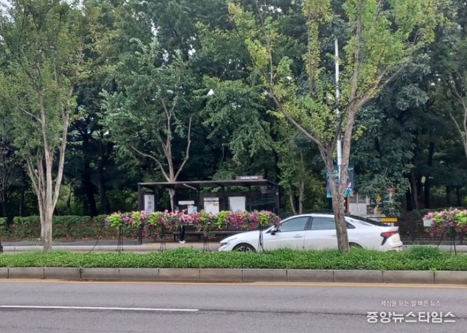 고양시 일산서구, 고양가을꽃축제 맞이 초화 식재 완료