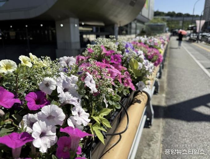 기흥역 앞 구갈2교 교량화분.(용인시 제공)