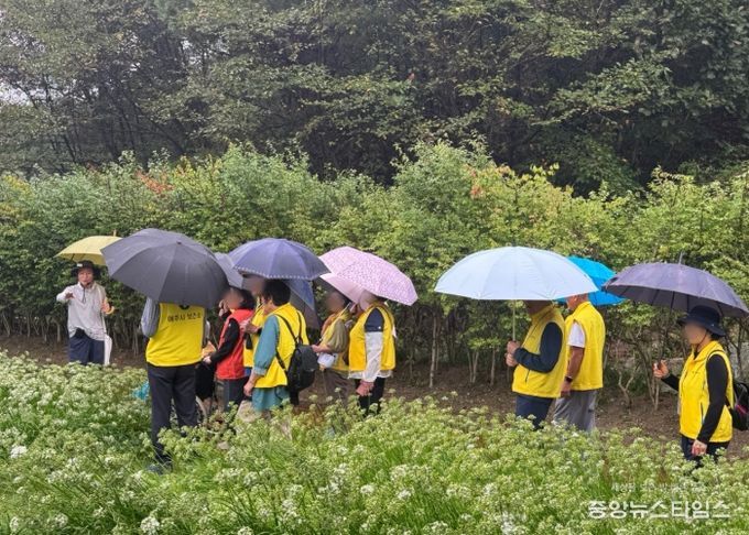 치매환자와 가족이 함께한 산림치유 프로그램 진행