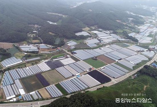 횡성군, 스마트 원예단지